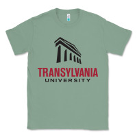 Sage transylvania university Classic Tee - PixelFlow