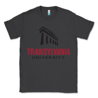 Smoke transylvania university Classic Tee - PixelFlow