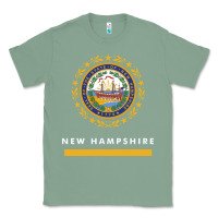 Sage new hampshire state flag new Classic Tee - SnappyArt