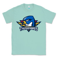Seafoam springfield thunderbirds Classic Tee - ArtMosaic