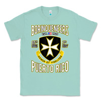 Seafoam Borinqueneers Puerto Rico Flag Honor Et Fidelitas Classic Tee - ArtMosaic