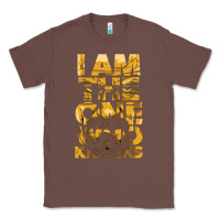 Chestnut i am the one who knocks Classic Tee - artisFamous