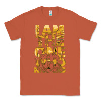Copper i am the one who knocks Classic Tee - artisFamous
