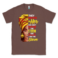 Chestnut black history month shirt african woman afro i am the storm t shirt Classic Tee - artisFamous