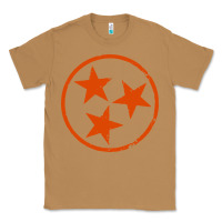 Toasted Coconut tennessee flag vintage grunge distressed graphic Classic Tee - artisFamous