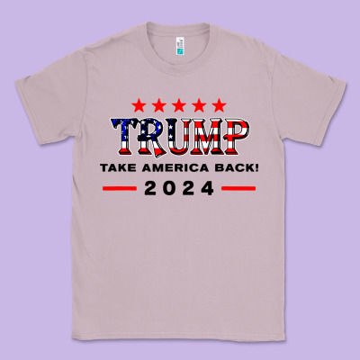 Donald Trump 2024 Take America Back Election Classic Tee Designed By Artisfamous