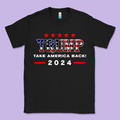 Donald Trump 2024 Take America Back Election Classic Tee Designed By Artisfamous