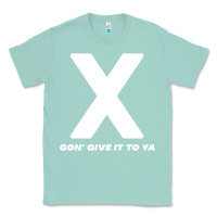 Seafoam x gon' give it to ya d.m.x t shirt Classic Tee - artisFamous