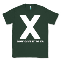 Sports Green x gon' give it to ya d.m.x t shirt Classic Tee - artisFamous