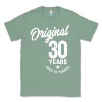 Sage 30 Year Old Gift | 30th Birthday Gift Ideas - Mens and Womens Classic Tee - artisFamous