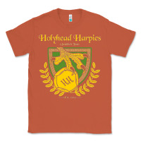 Copper holyhead harpies Classic Tee - artisFamous