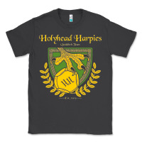 Smoke holyhead harpies Classic Tee - artisFamous
