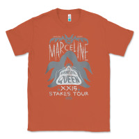 Copper adventure time mar.ce.li.ne vampire qu.e.e.n post  t shirt Classic Tee - artisFamous