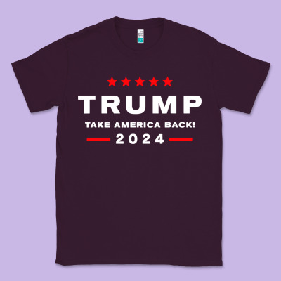 Donald Trump 2024 Take America Classic Tee Designed By Artisfamous