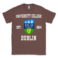 Chestnut university college dublin Classic Tee - artisFamous
