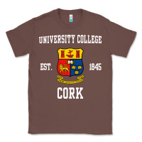Chestnut university college cork Classic Tee - artisFamous