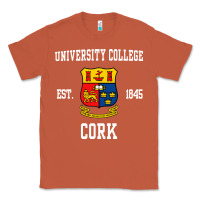 Copper university college cork Classic Tee - artisFamous