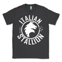 Smoke Italian Stallion Classic Tee - artisFamous