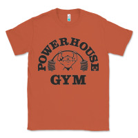 Copper power hause gym Classic Tee - artisFamous