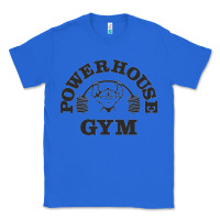 True Royal power hause gym Classic Tee - artisFamous