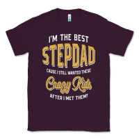 Plum I'm The Best Stepdad | Father's Day Classic Tee - artisFamous