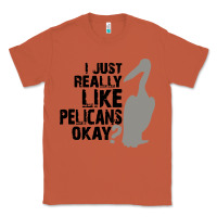 Copper i just really like pelicans okay Classic Tee - artisFamous