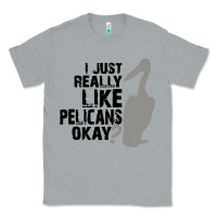 Heather Grey i just really like pelicans okay Classic Tee - artisFamous