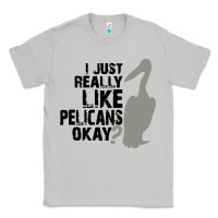 Moon Dust i just really like pelicans okay Classic Tee - artisFamous