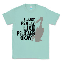 Seafoam i just really like pelicans okay Classic Tee - artisFamous