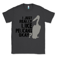 Smoke i just really like pelicans okay Classic Tee - artisFamous