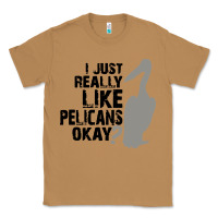 Toasted Coconut i just really like pelicans okay Classic Tee - artisFamous