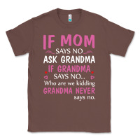 Chestnut if mom says no ask grandma if grandma says no Classic Tee - artisFamous