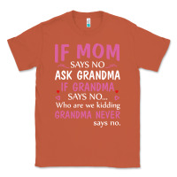 Copper if mom says no ask grandma if grandma says no Classic Tee - artisFamous