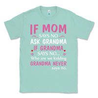 Seafoam if mom says no ask grandma if grandma says no Classic Tee - artisFamous