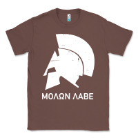 Chestnut spartan helmet Classic Tee - artisFamous