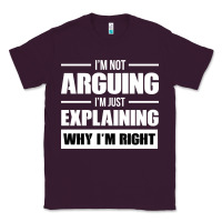 Plum I'M NOT ARGUING I'M JUST EXPLAINING WHY I'M RIGHT FUNNY Classic Tee - artisFamous