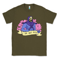 Army Green Vintage Skeletor ı am not nice Classic Tee - artisFamous