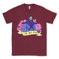 Burgundy Vintage Skeletor ı am not nice Classic Tee - artisFamous