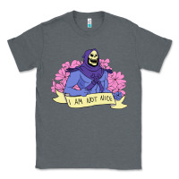 Charcoal Heather Vintage Skeletor ı am not nice Classic Tee - artisFamous