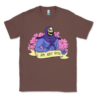 Chestnut Vintage Skeletor ı am not nice Classic Tee - artisFamous