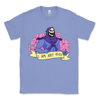 Colony Blue Vintage Skeletor ı am not nice Classic Tee - artisFamous