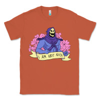 Copper Vintage Skeletor ı am not nice Classic Tee - artisFamous