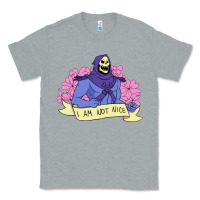 Heather Grey Vintage Skeletor ı am not nice Classic Tee - artisFamous
