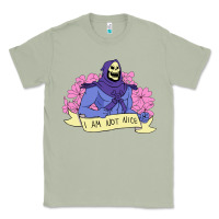 Matcha Vintage Skeletor ı am not nice Classic Tee - artisFamous