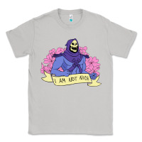 Moon Dust Vintage Skeletor ı am not nice Classic Tee - artisFamous