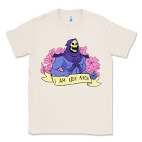 Natural Vintage Skeletor ı am not nice Classic Tee - artisFamous