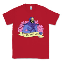 Red Vintage Skeletor ı am not nice Classic Tee - artisFamous
