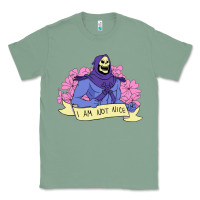 Sage Vintage Skeletor ı am not nice Classic Tee - artisFamous