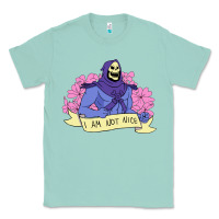 Seafoam Vintage Skeletor ı am not nice Classic Tee - artisFamous