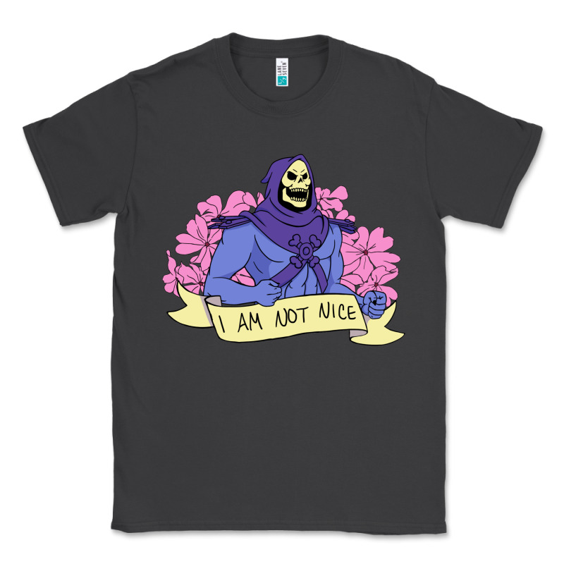 Vintage Skeletor ı Am Not Nice Classic Tee by artisFamous | Teevron